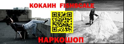 прущие грибы Камышлов