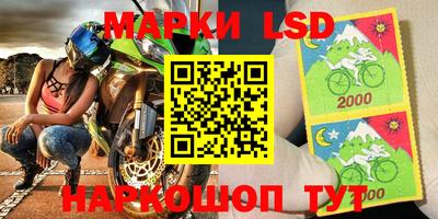 прущие грибы Камышлов