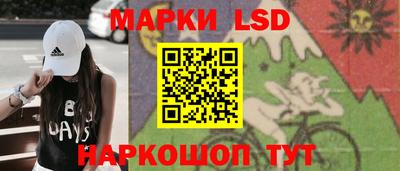 прущие грибы Камышлов