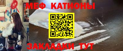 прущие грибы Камышлов