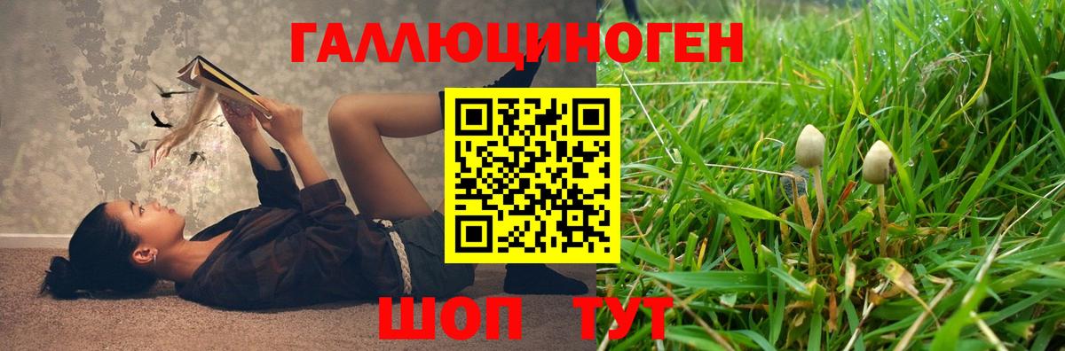купить наркотик  Вход с VPN  Магадан  Псилоцибиновые грибы Magic Shrooms 
